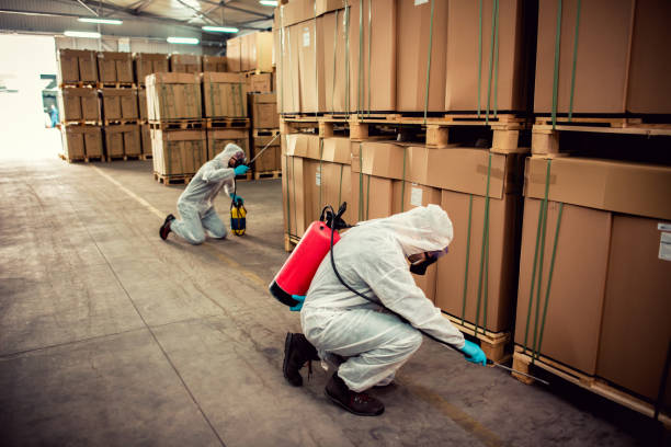 Best Pest Inspection Near Me  in Urania, LA