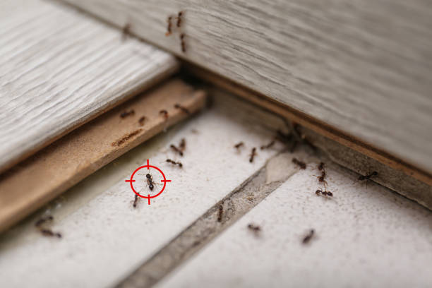 Urania, LA Pest Control Company