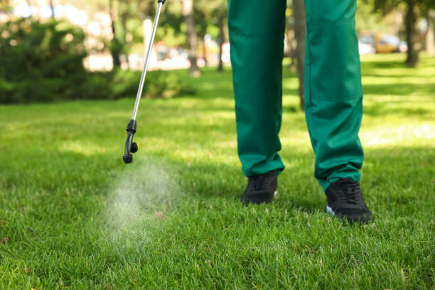 Best Pest Control Near Me  in Urania, LA