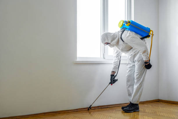 Best Emergency Pest Control  in Urania, LA
