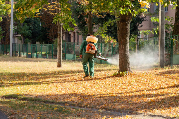 Best Pest Prevention Services  in Urania, LA