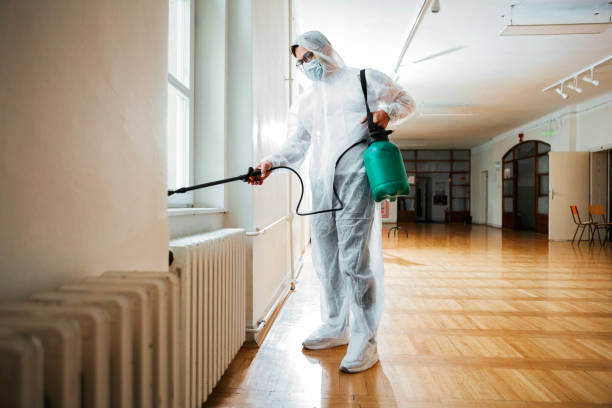 Best Wasp Removal Services  in Urania, LA