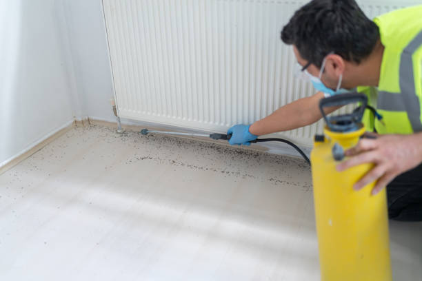 Best Exterminator Services  in Urania, LA
